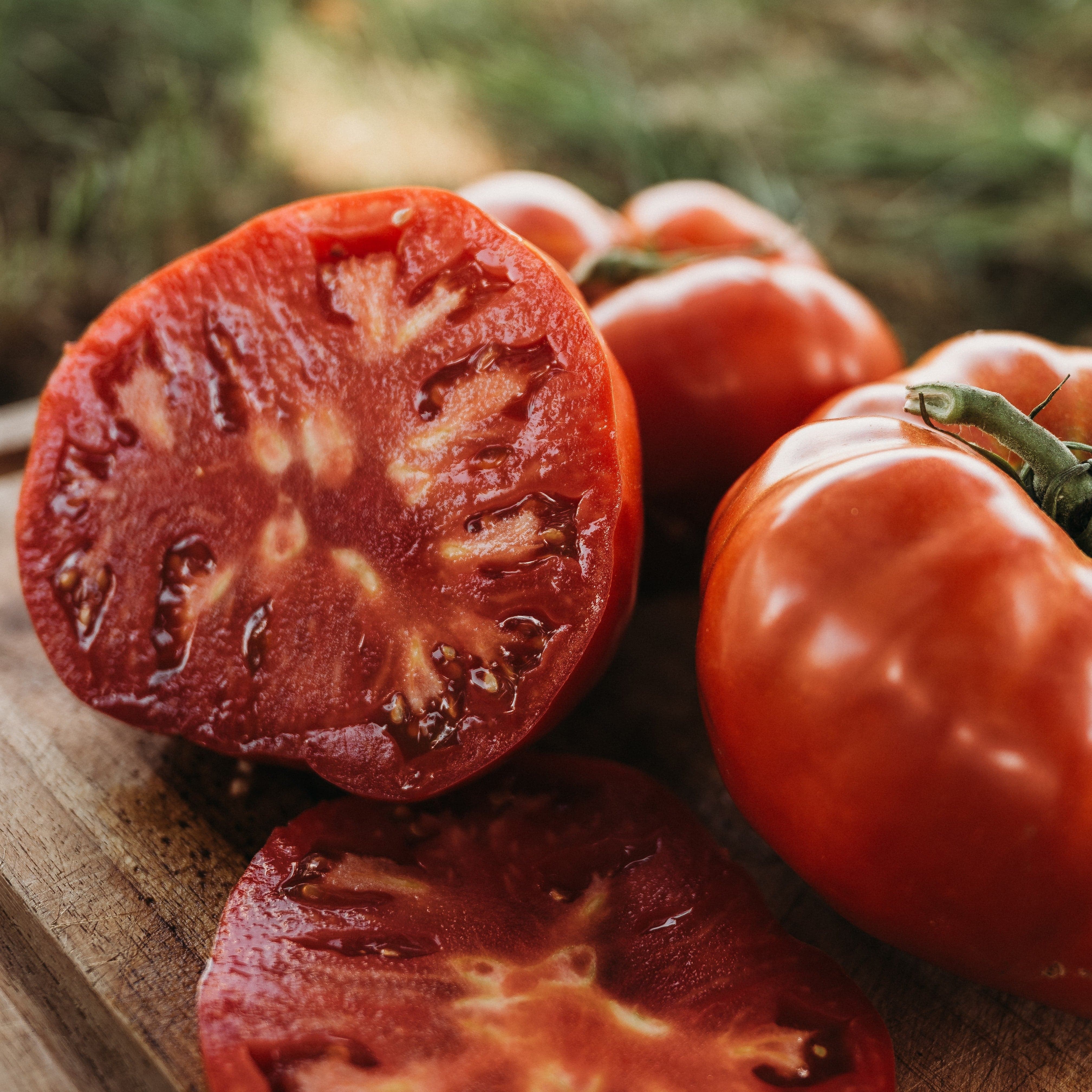 Beefsteak Tomato - Thresh Seed Co.