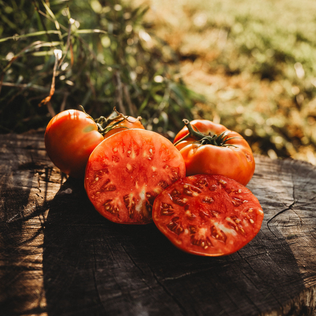 Beefsteak Tomato
