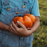 Big Elmer Tomato