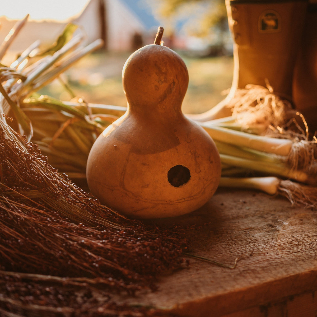 Birdhouse Gourd