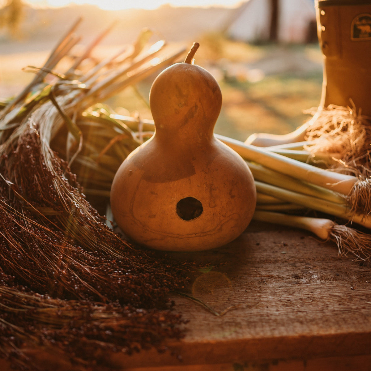 Birdhouse Gourd