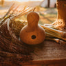 Birdhouse Gourd