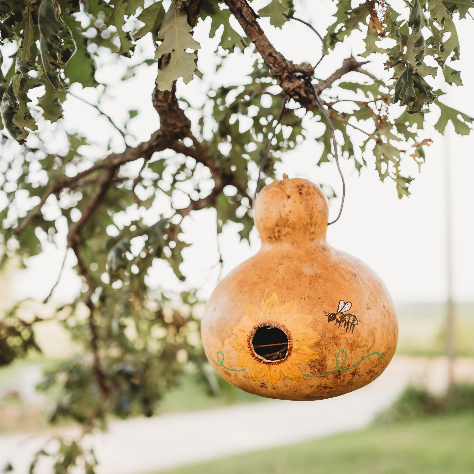 Birdhouse Gourd
