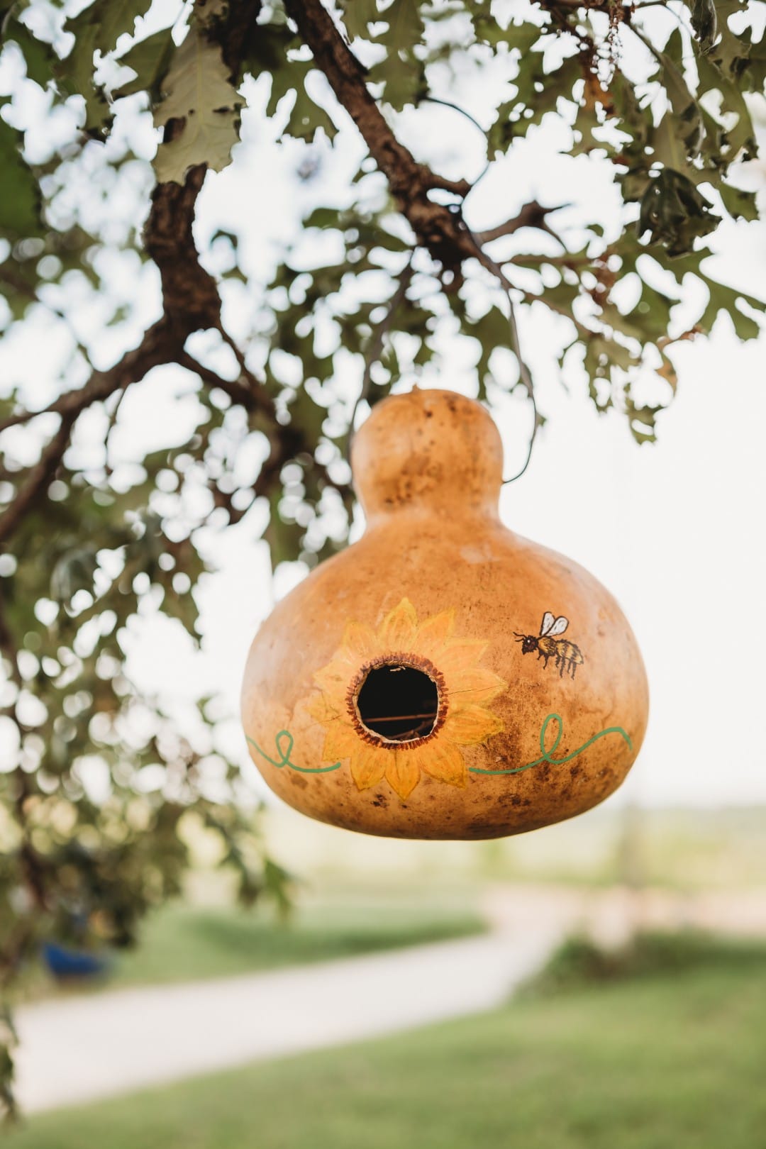 Birdhouse Gourd