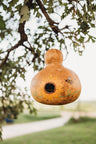Birdhouse Gourd