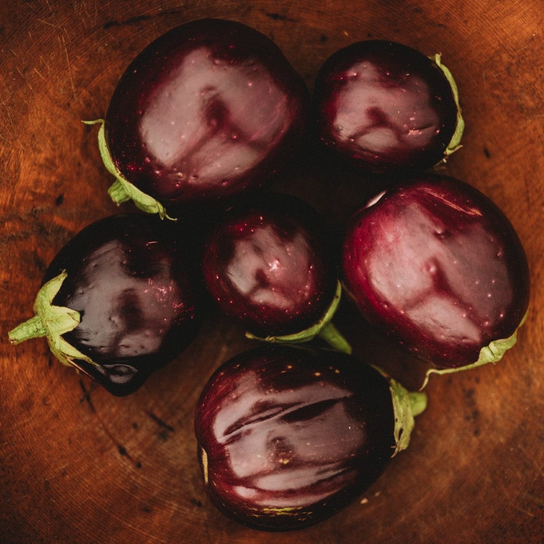 Black Beauty Eggplant Seeds