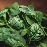 Bloomsdale Longstanding Spinach Seeds