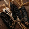 Blue Fox Flour Corn