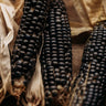 Blue Fox Flour Corn