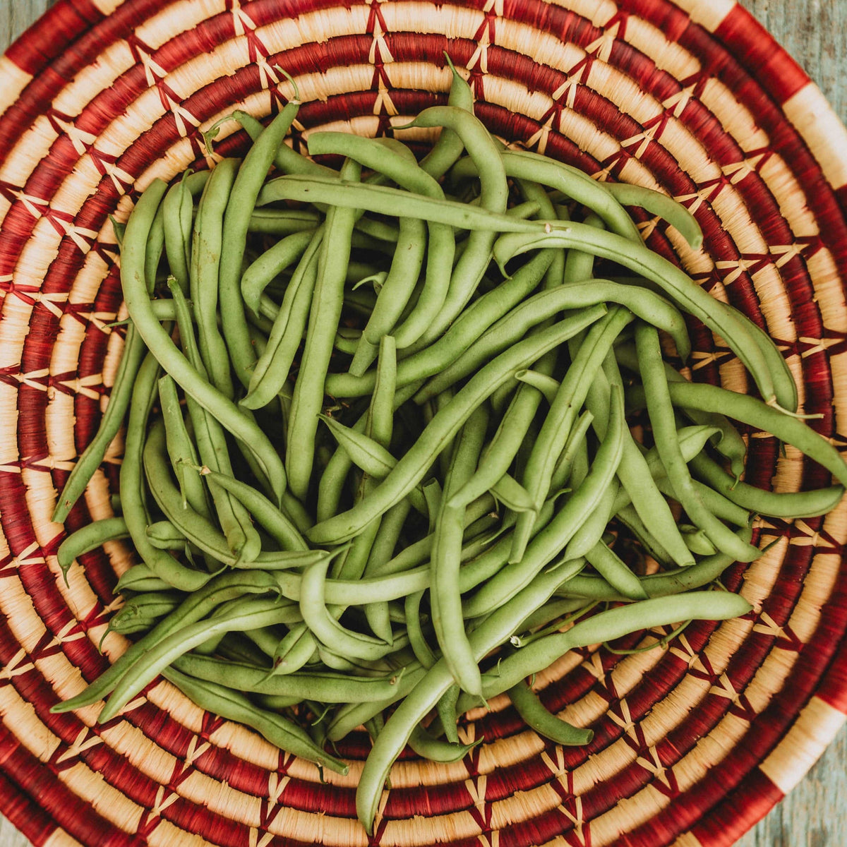 Blue Lake Bush 274 Snap/Green Bean