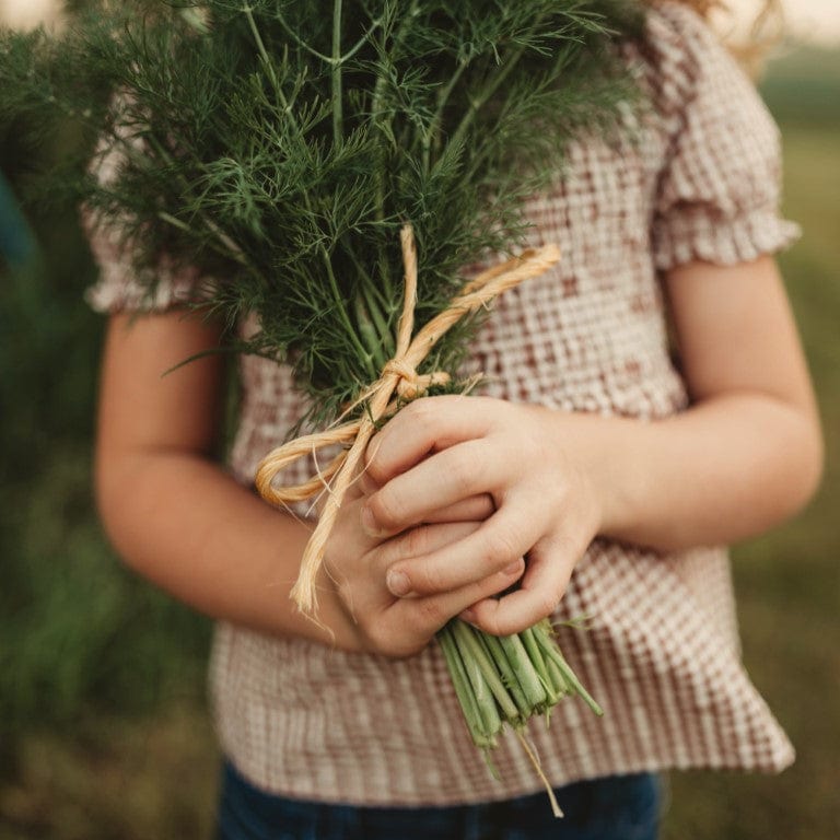 Bouquet Dill