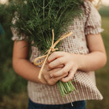 Bouquet Dill Seeds