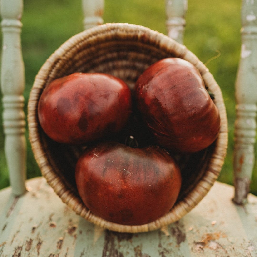 Brandywine Black Heirloom Tomato Seeds