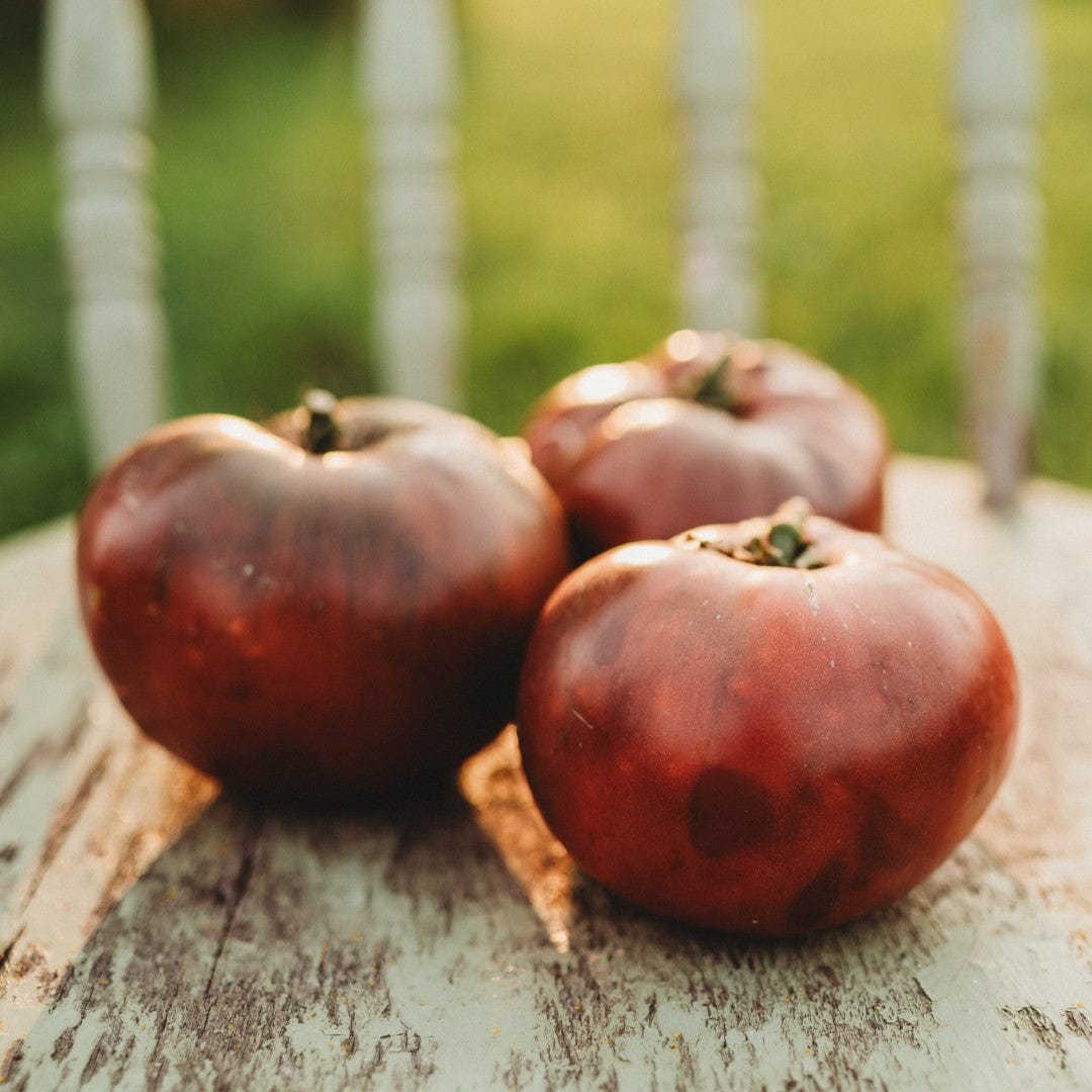 Brandywine Black Heirloom Tomato (Weaver&#39;s Strain)