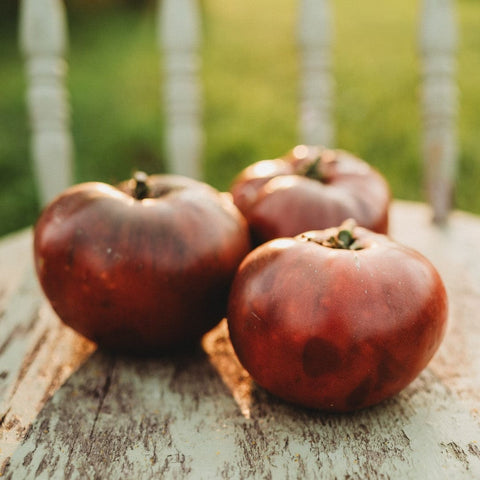 Brandywine Black Heirloom Tomato Seeds