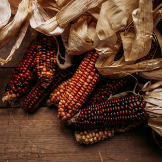 Branscomb's Brilliant Ornamental Corn