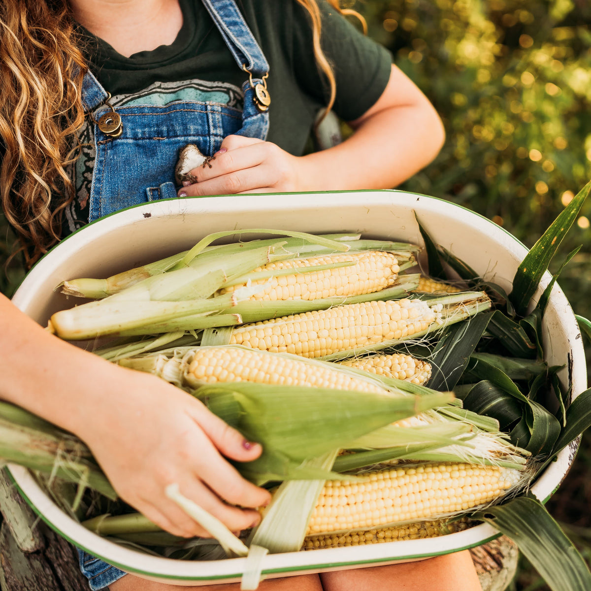 Buhl Sweet Corn