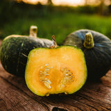 Burgess Buttercup Winter Squash Seeds