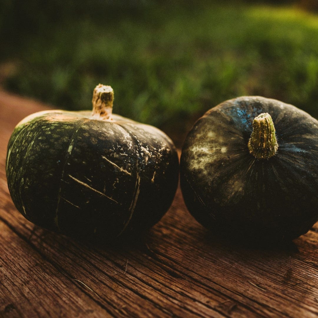 Burgess Buttercup Winter Squash Seeds