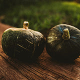 Burgess Buttercup Winter Squash Seeds