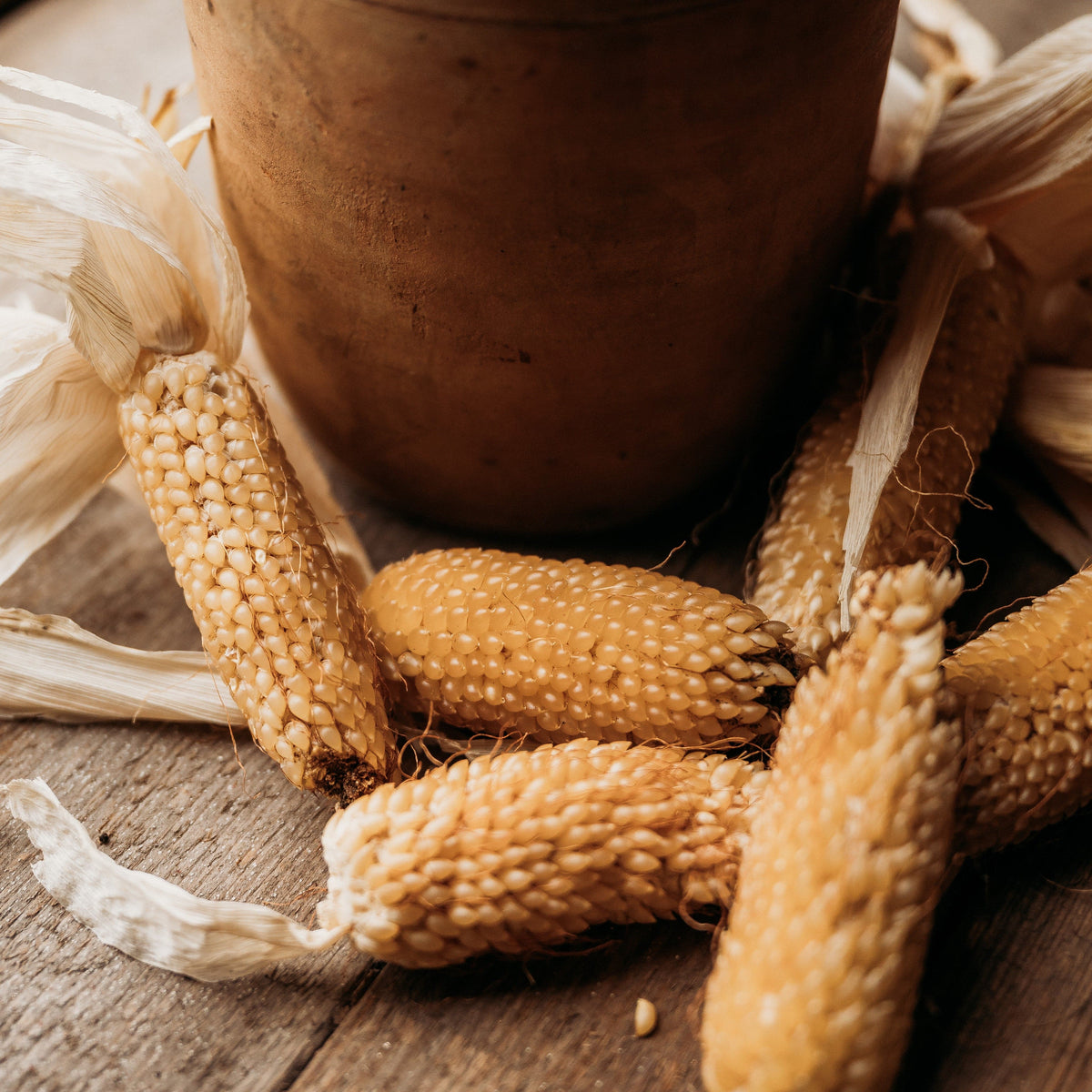 Burro Mountain Popcorn