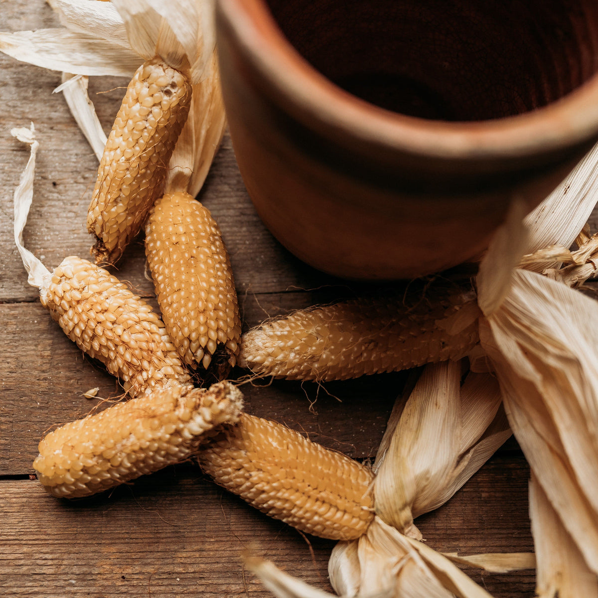 Burro Mountain Popcorn