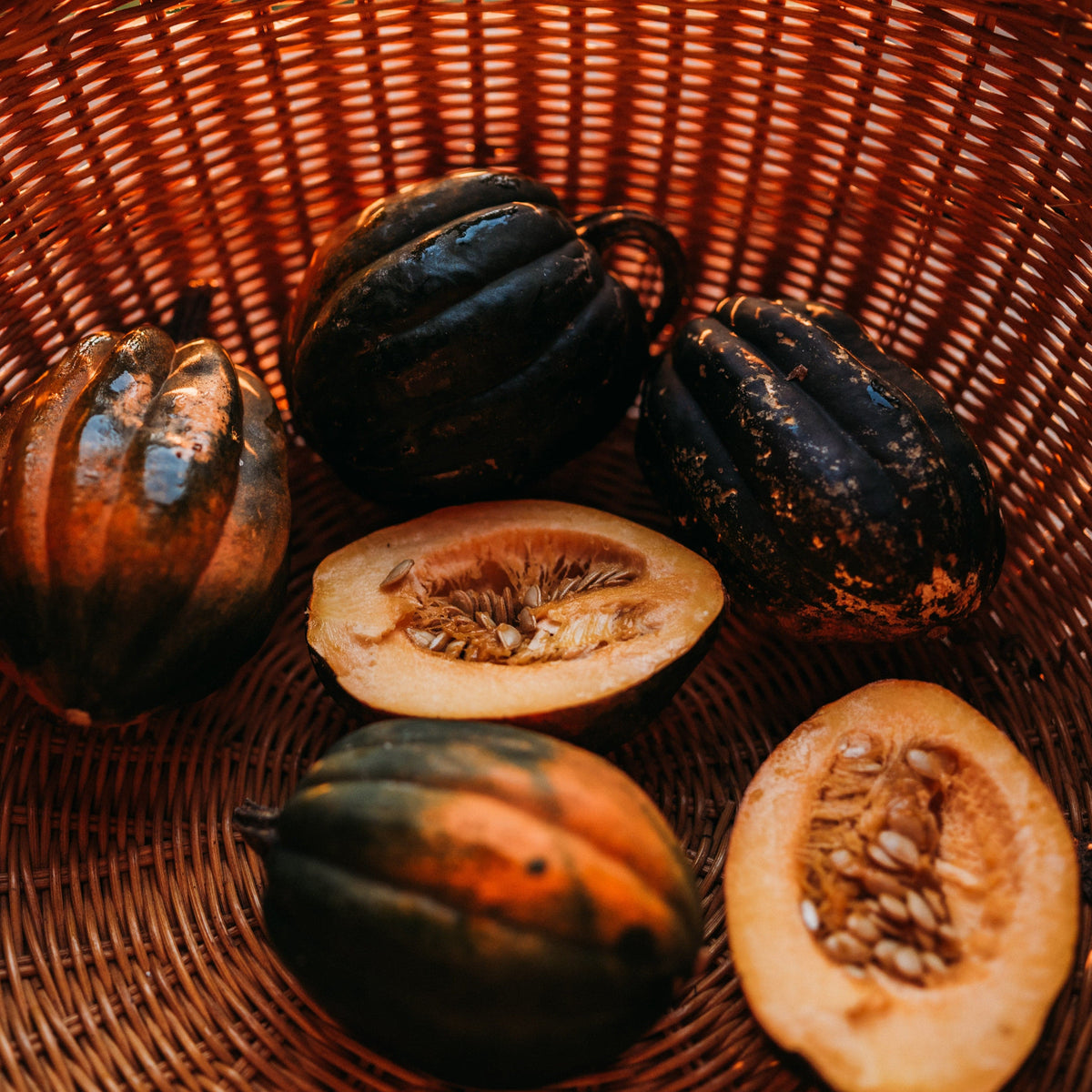 Bush Table Queen Acorn Squash