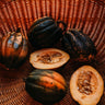 Bush Table Queen Acorn Squash