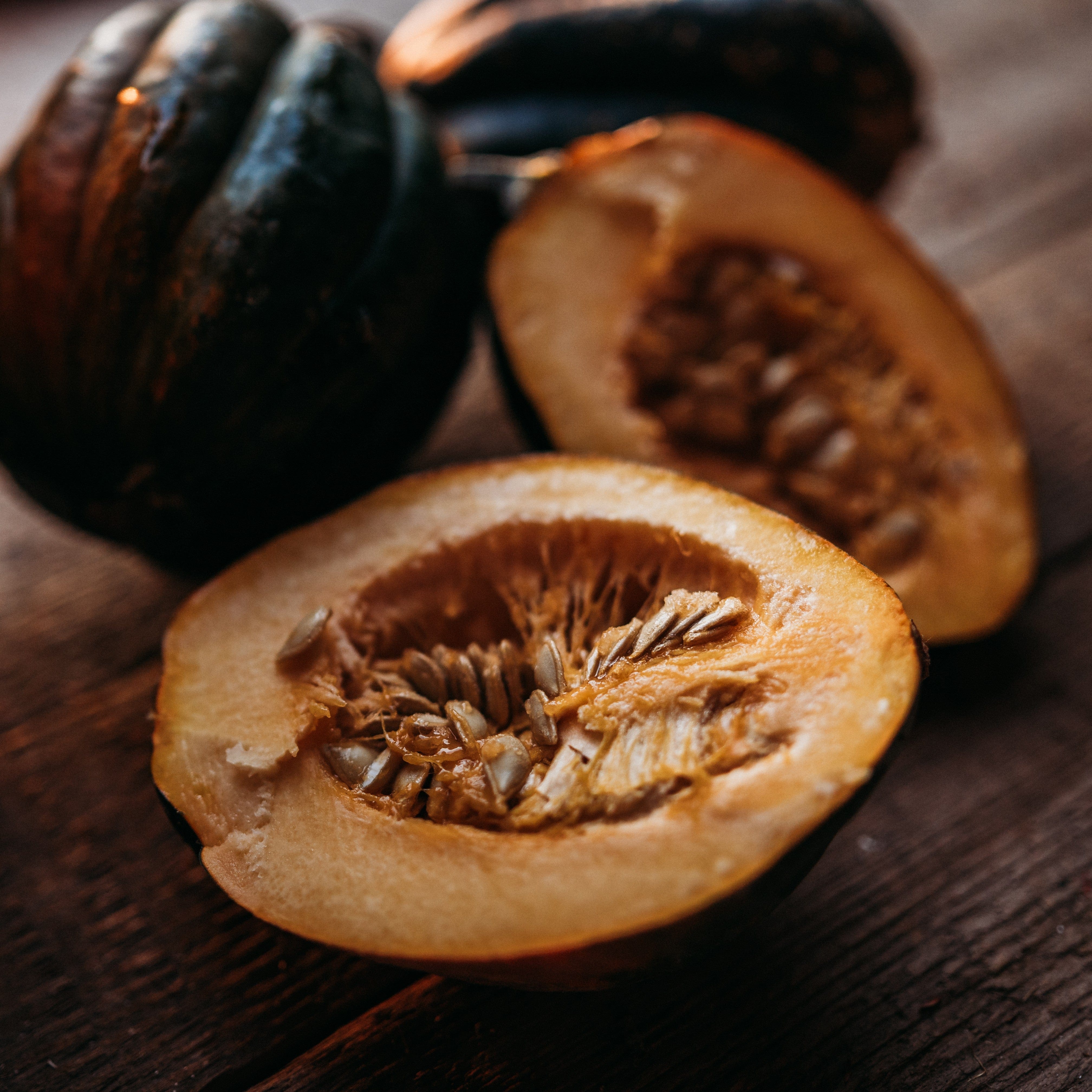 Bush Table Queen Acorn Squash - Thresh Seed Co.