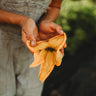 Butterbush Squash