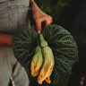 Butterbush Squash