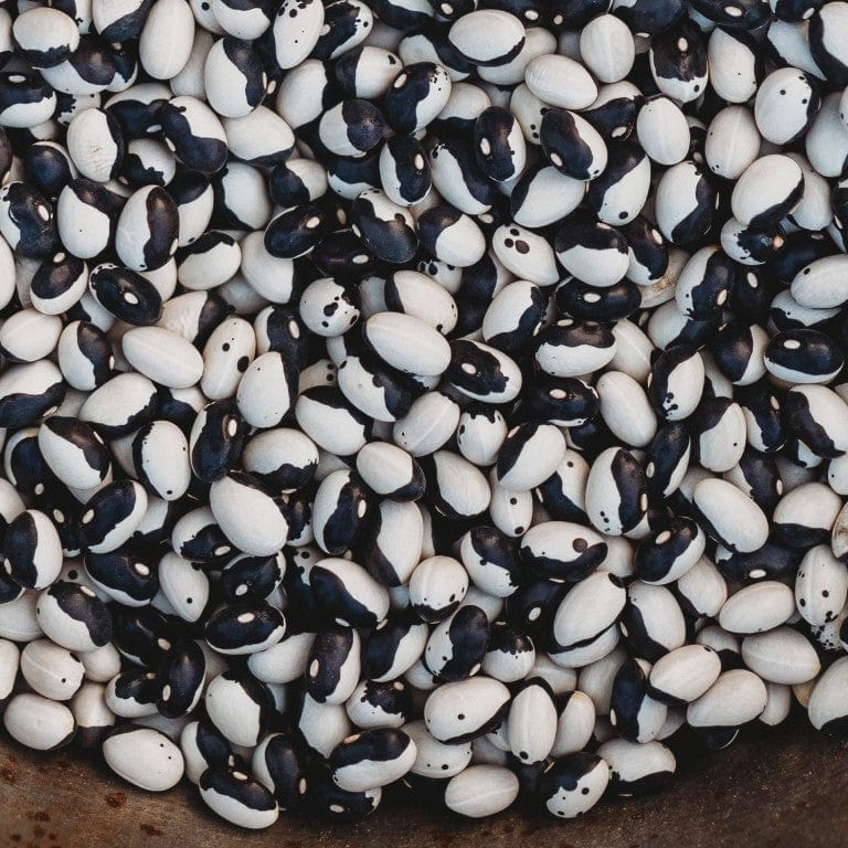 Calypso Shelling Bean Seeds
