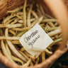 Cherokee Yellow Wax Bean