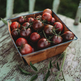 Chocolate Cherry Tomato