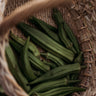 Clemson Spineless Okra