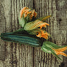 Cocozelle Zucchini