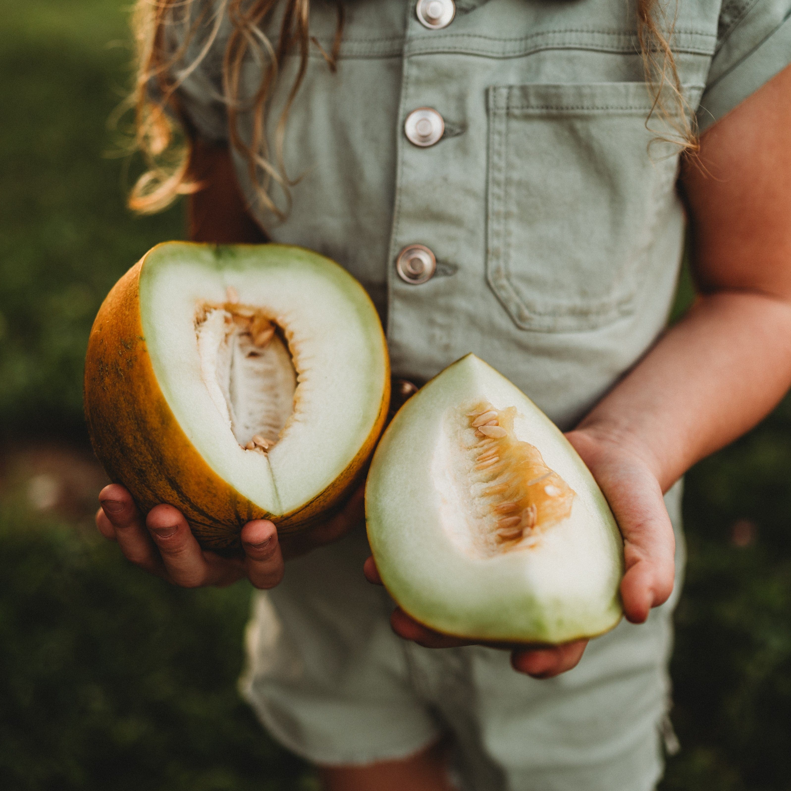 Collective Farm Woman Melon - Thresh Seed Co.