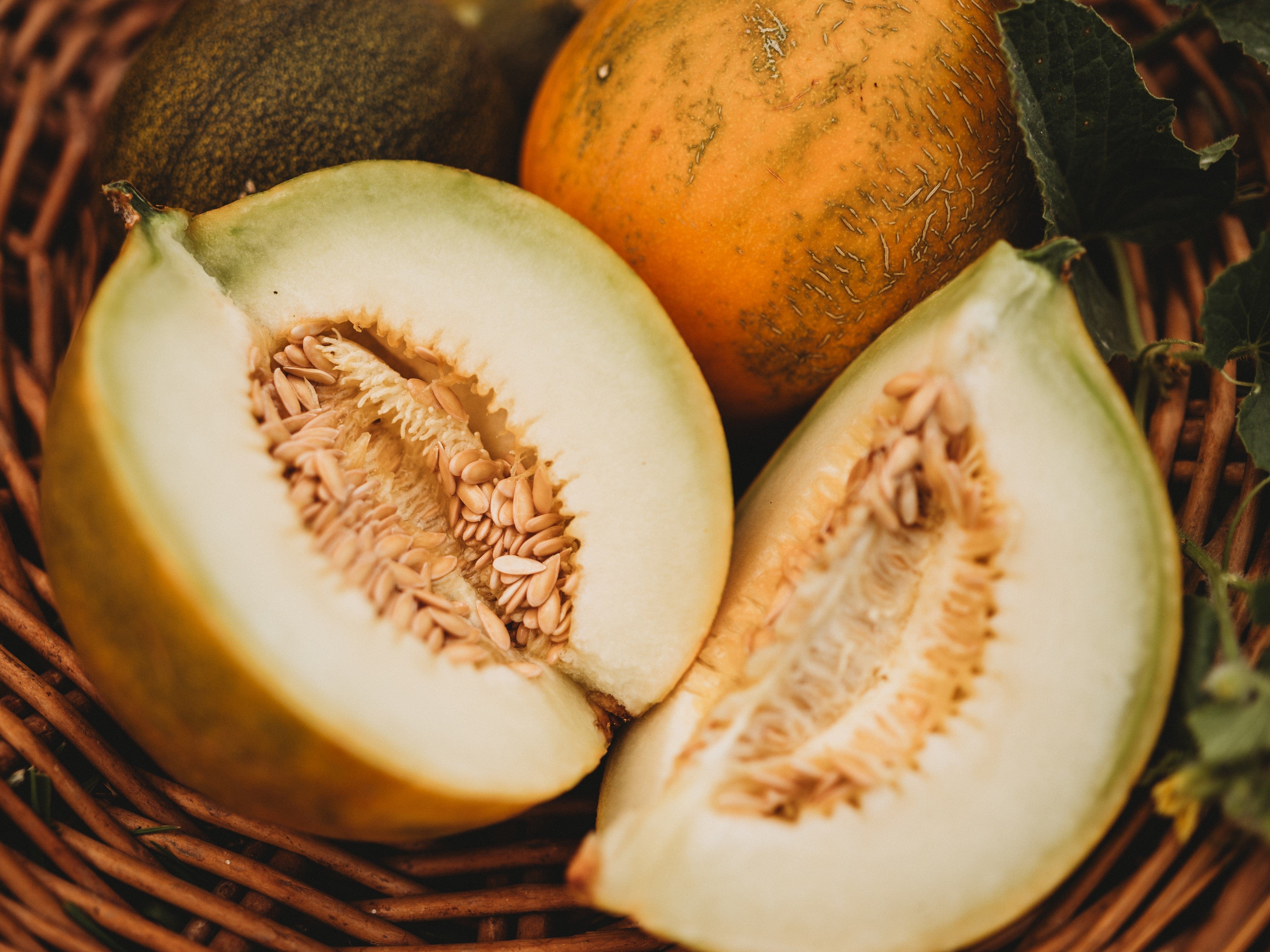 Collective Farm Woman Melon - Thresh Seed Co.