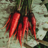 Cosmic Purple Carrot Seeds