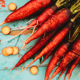 Cosmic Purple Carrot Seeds
