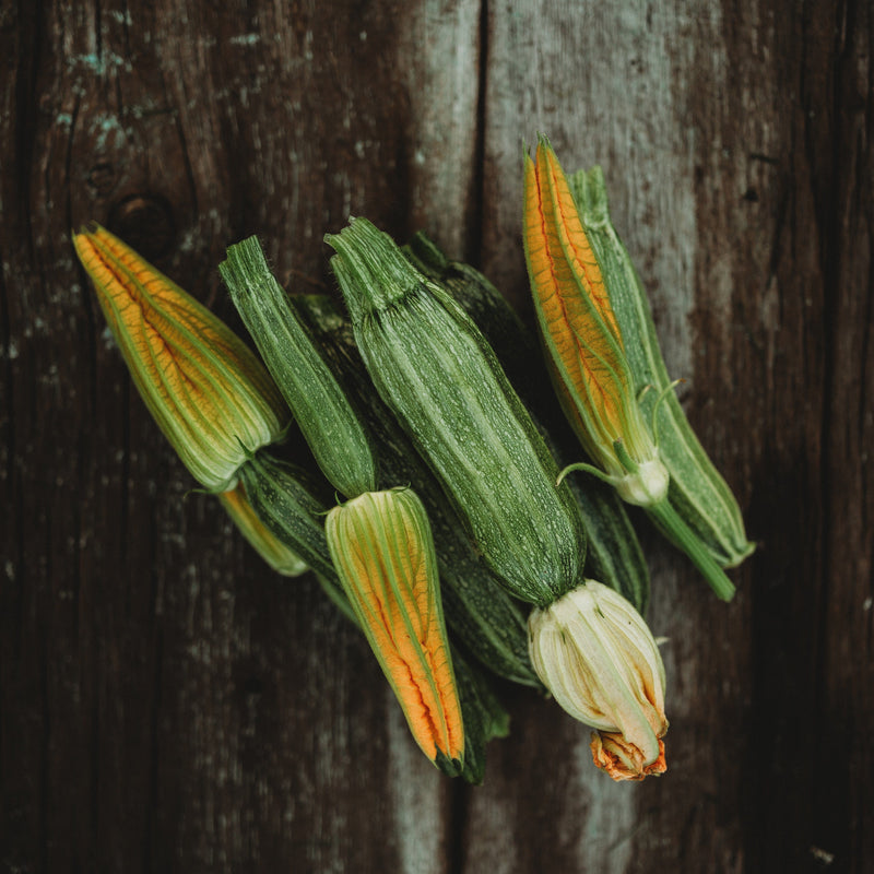 Costata Romanesco Zucchini