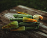 Costata Romanesco Zucchini