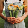 Costata Romanesco Zucchini