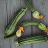 Costata Romanesco Zucchini