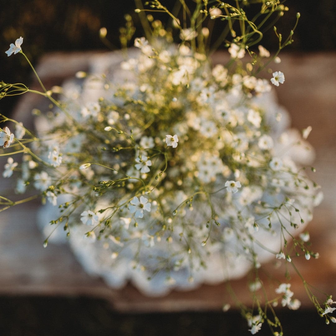 Covent Garden Baby&#39;s Breath