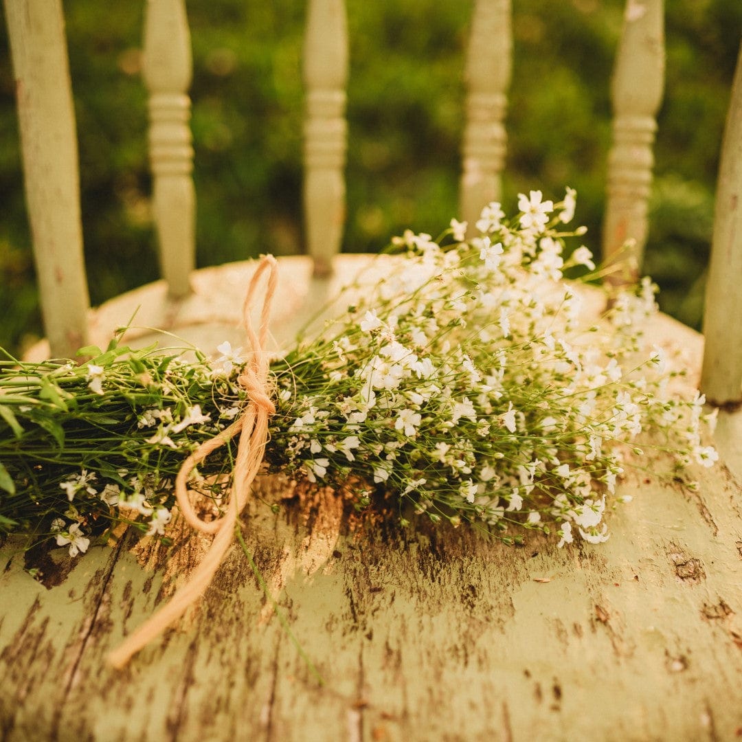 Covent Garden Baby&#39;s Breath