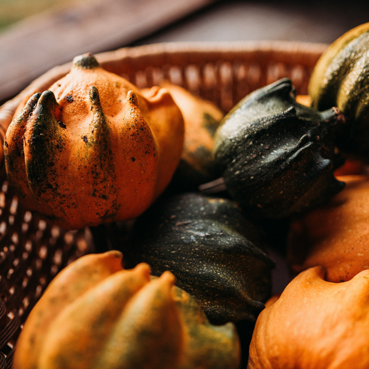 Crown of Thorns Gourd