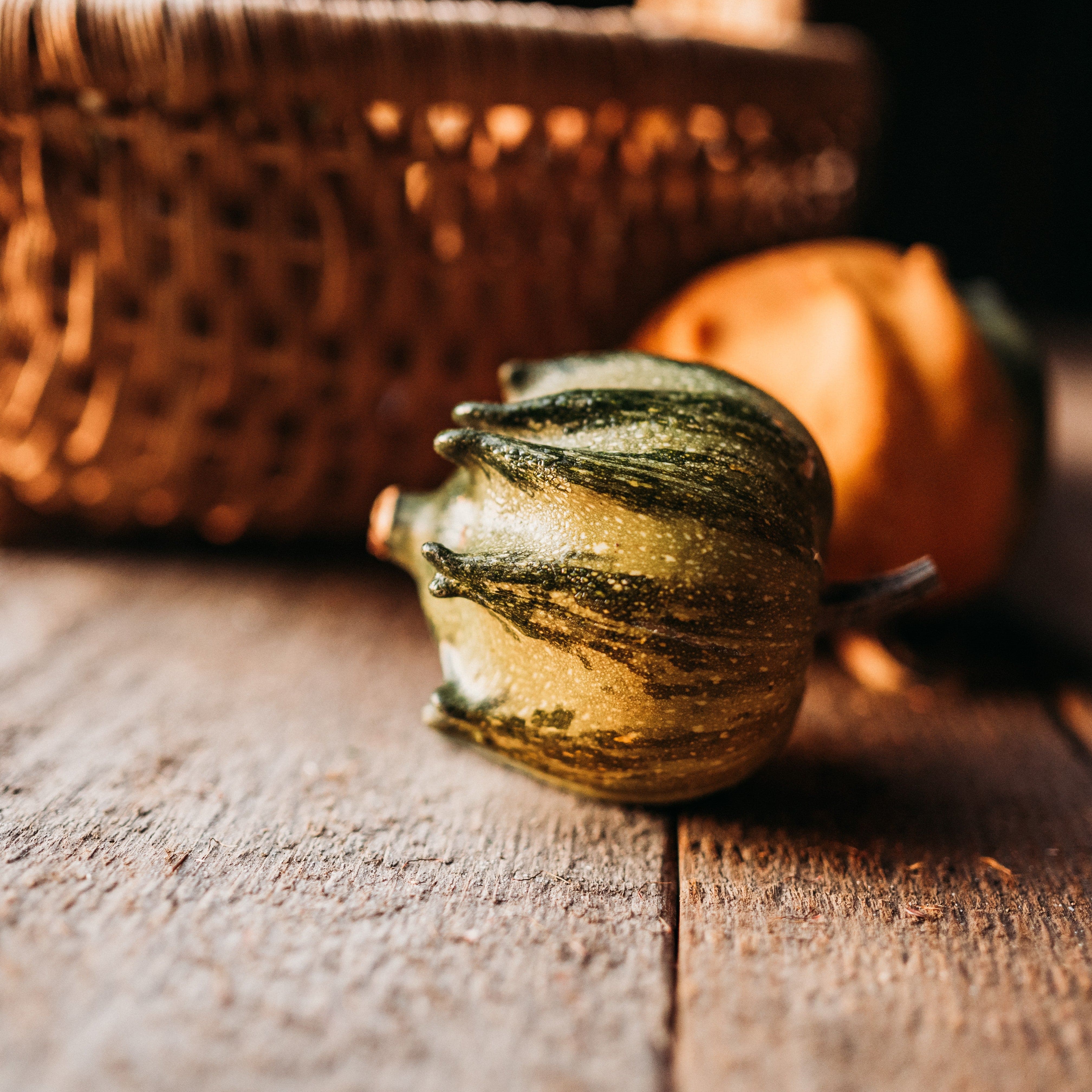 Crown of Thorns Gourd - Thresh Seed Co.