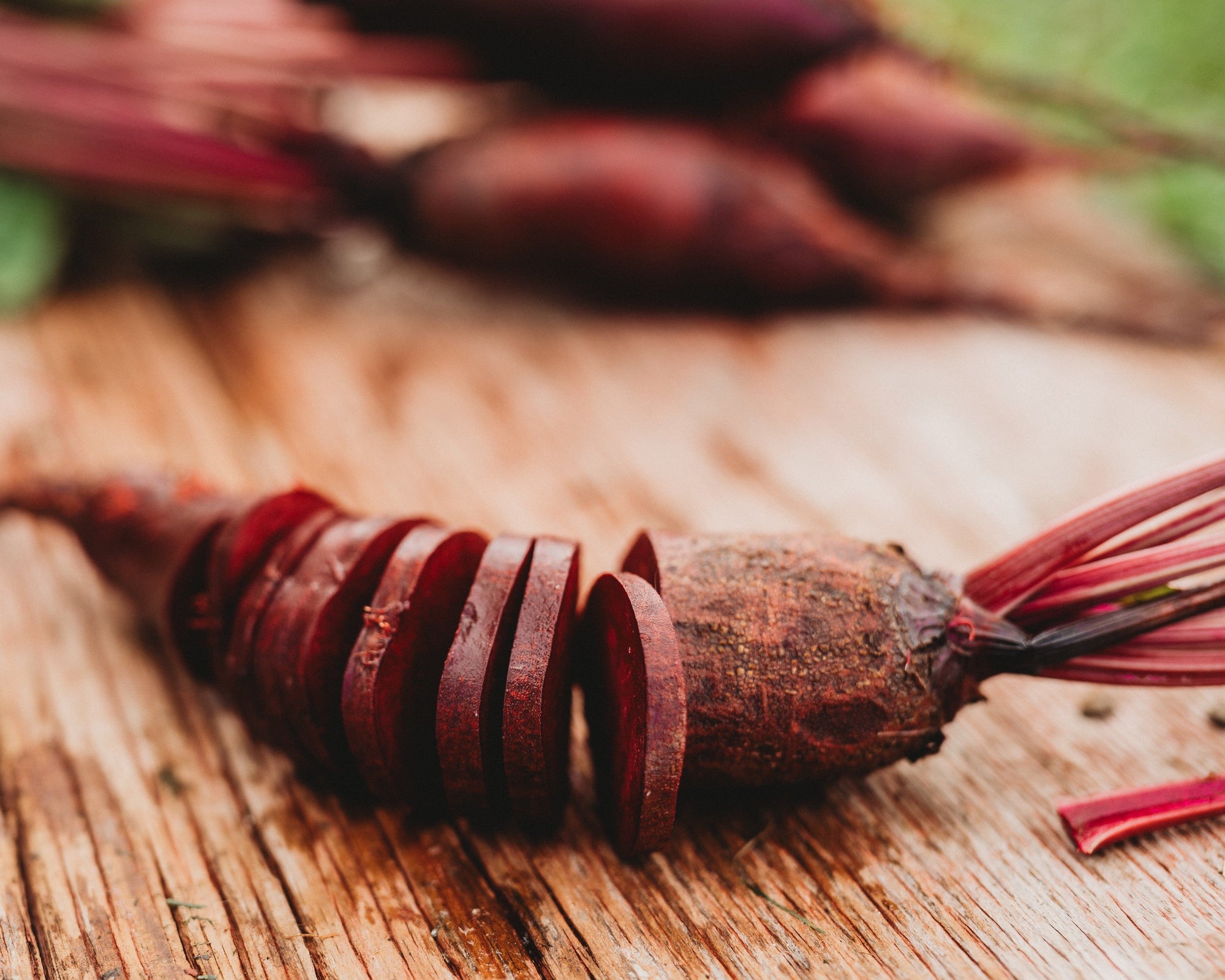 garden beet seeds Cylindra Beet, Packet (100 Seeds)