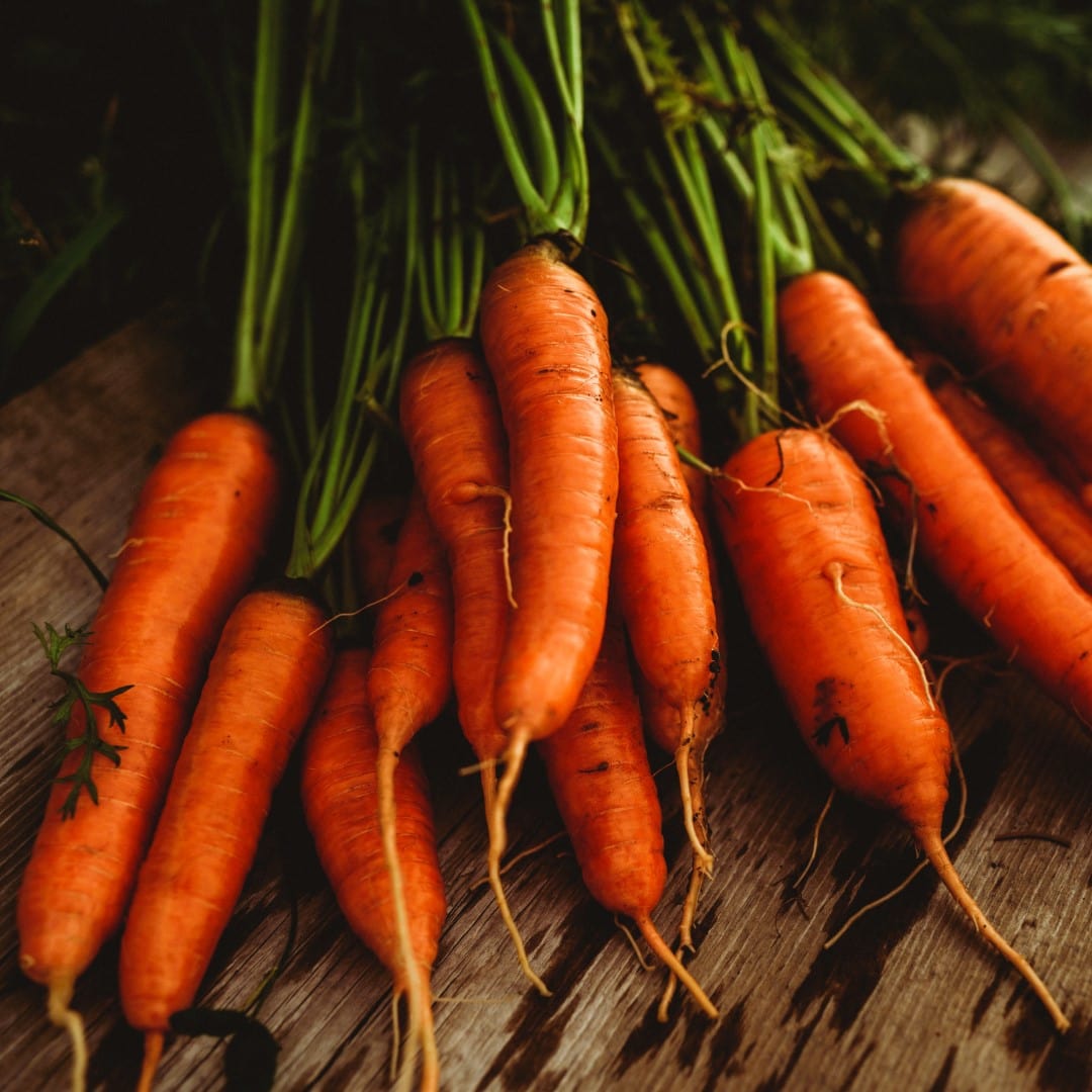 Danvers Heirloom Carrot